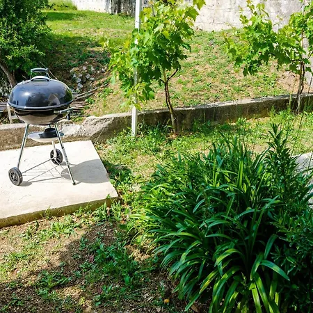 Apartmán Bind - Basic Double With Patio And Garden View R3