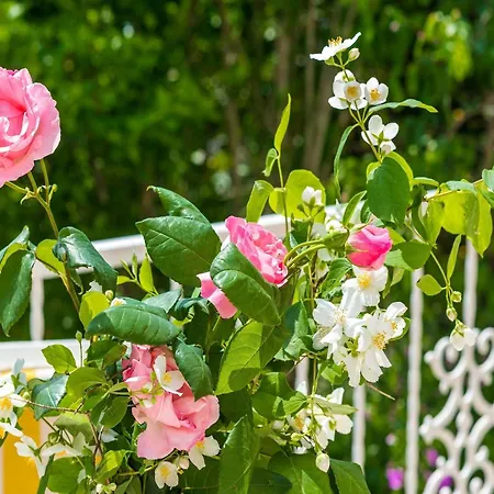 Appartamento Bind - Basic Double With Patio And Garden View R3 Cavtat